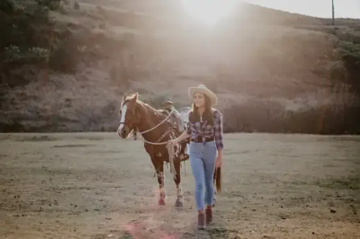 Horse Interaction