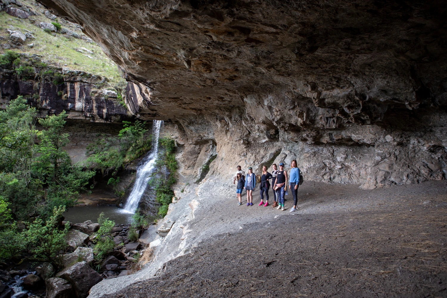Guided Hikes & Trails