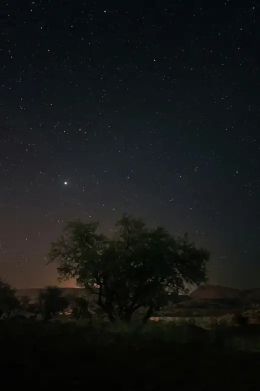 Stargazing